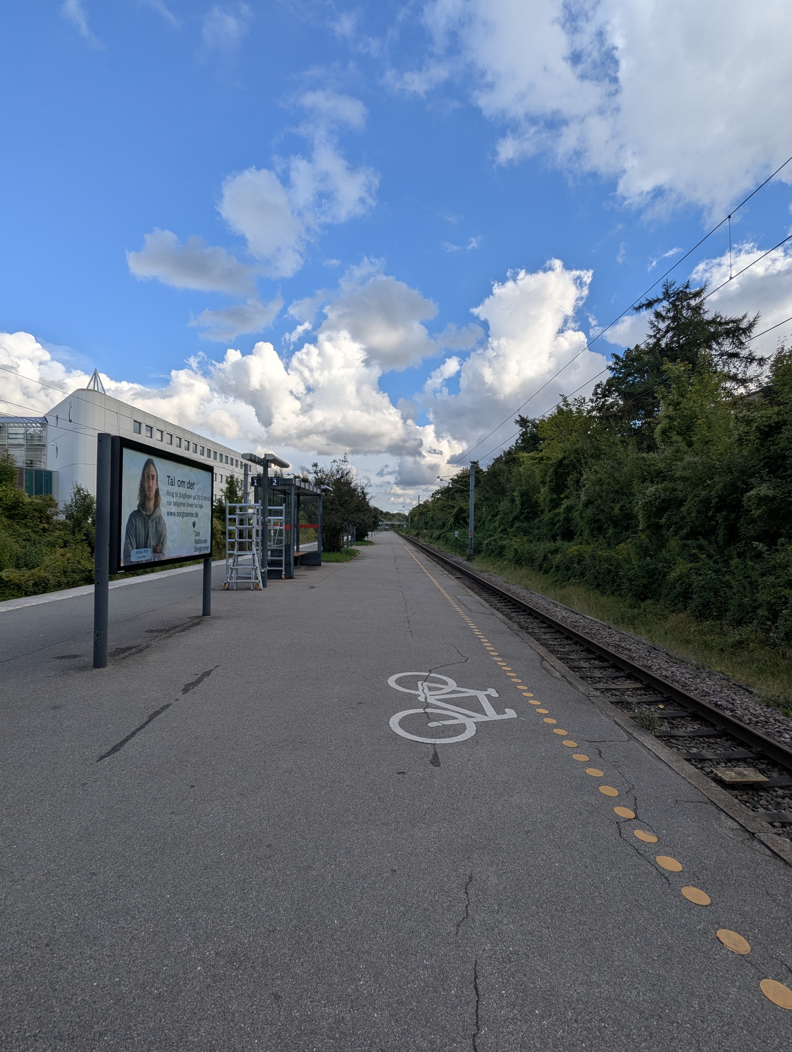 Lyngby, Copenhagen, Barn Party, Denmark